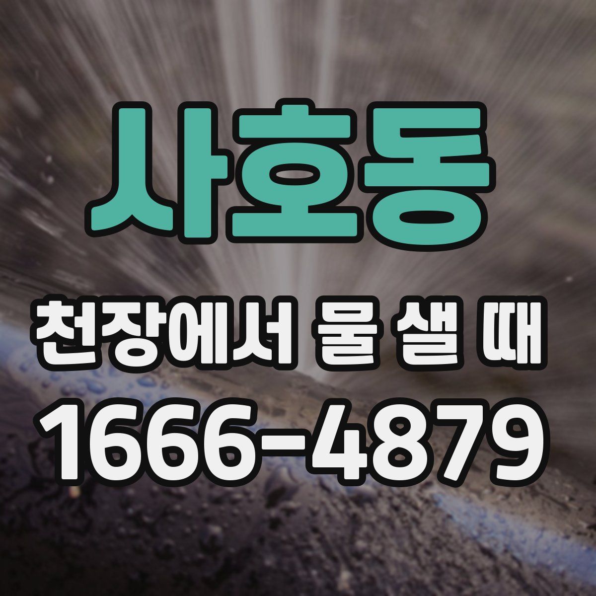 사호동 천장에서 물 샐 때