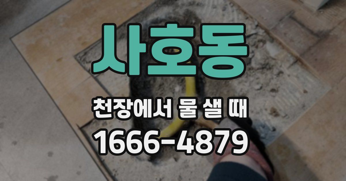 사호동 천장에서 물 샐 때