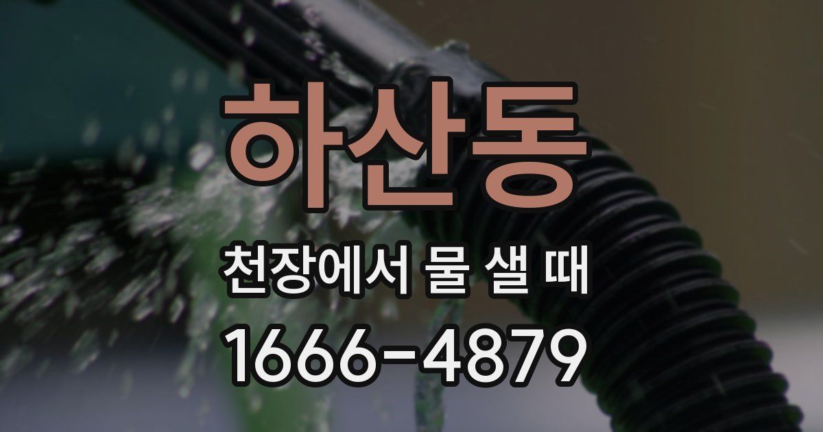 하산동 천장에서 물 샐 때