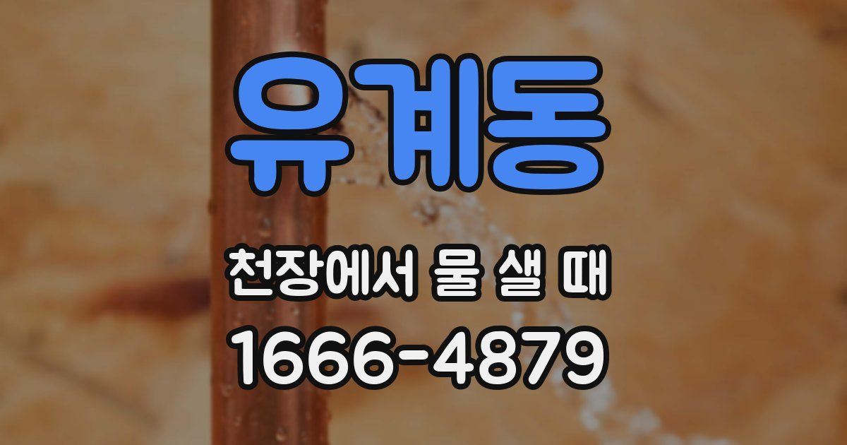 유계동 천장에서 물 샐 때