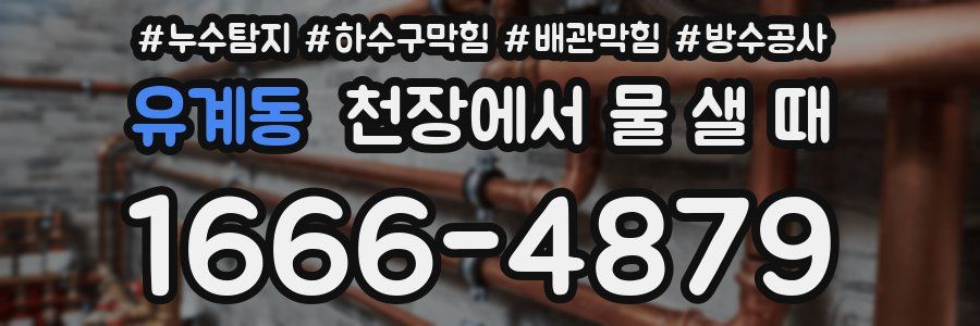 유계동 천장에서 물 샐 때