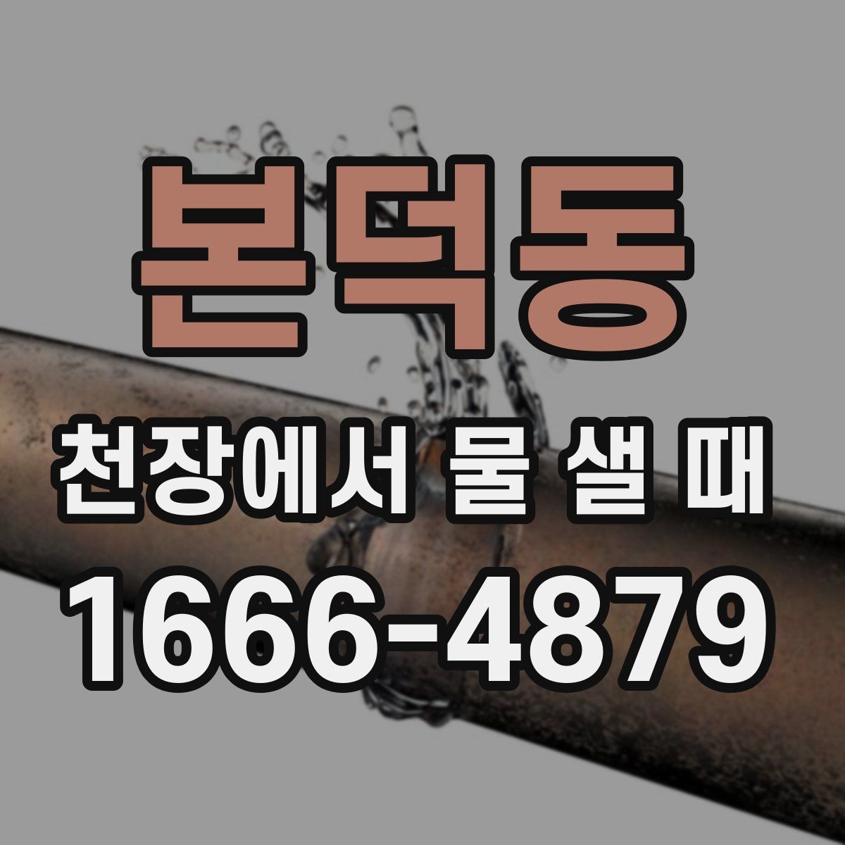 본덕동 천장에서 물 샐 때