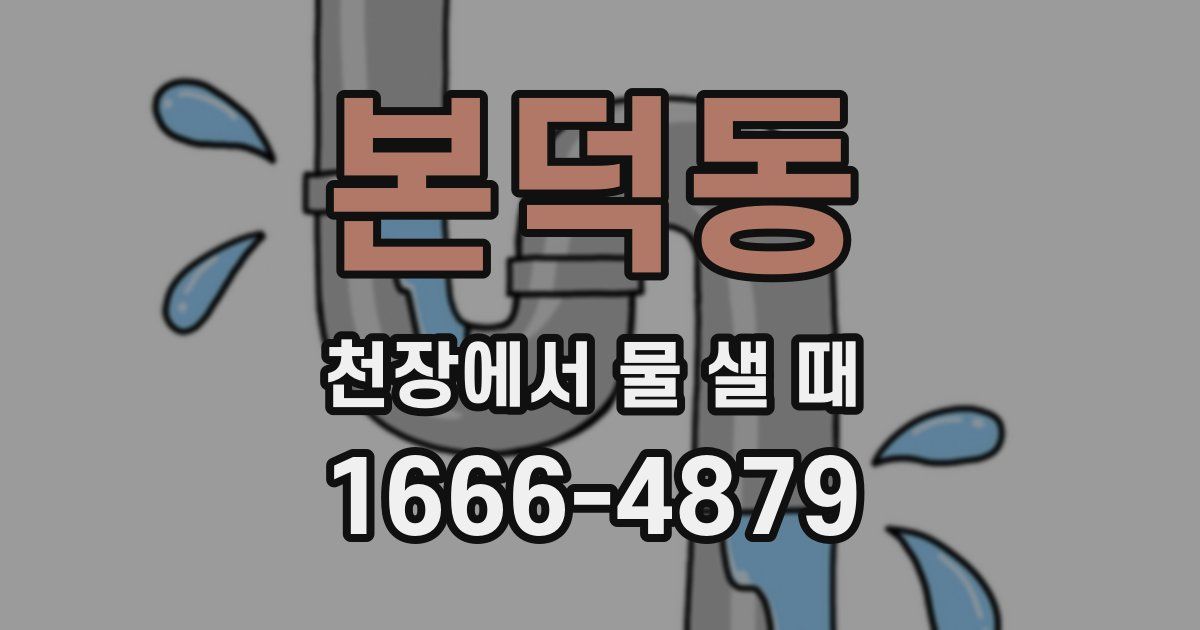 본덕동 천장에서 물 샐 때