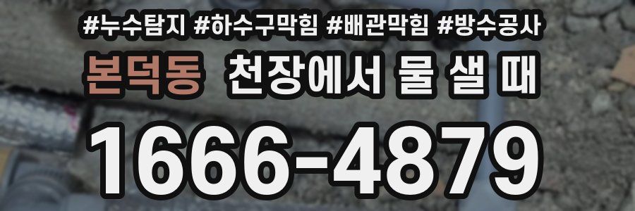 본덕동 천장에서 물 샐 때