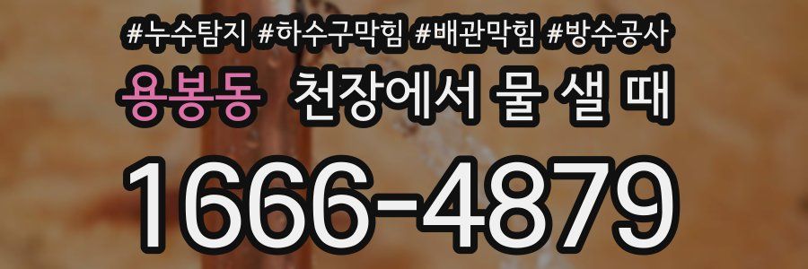 용봉동 천장에서 물 샐 때