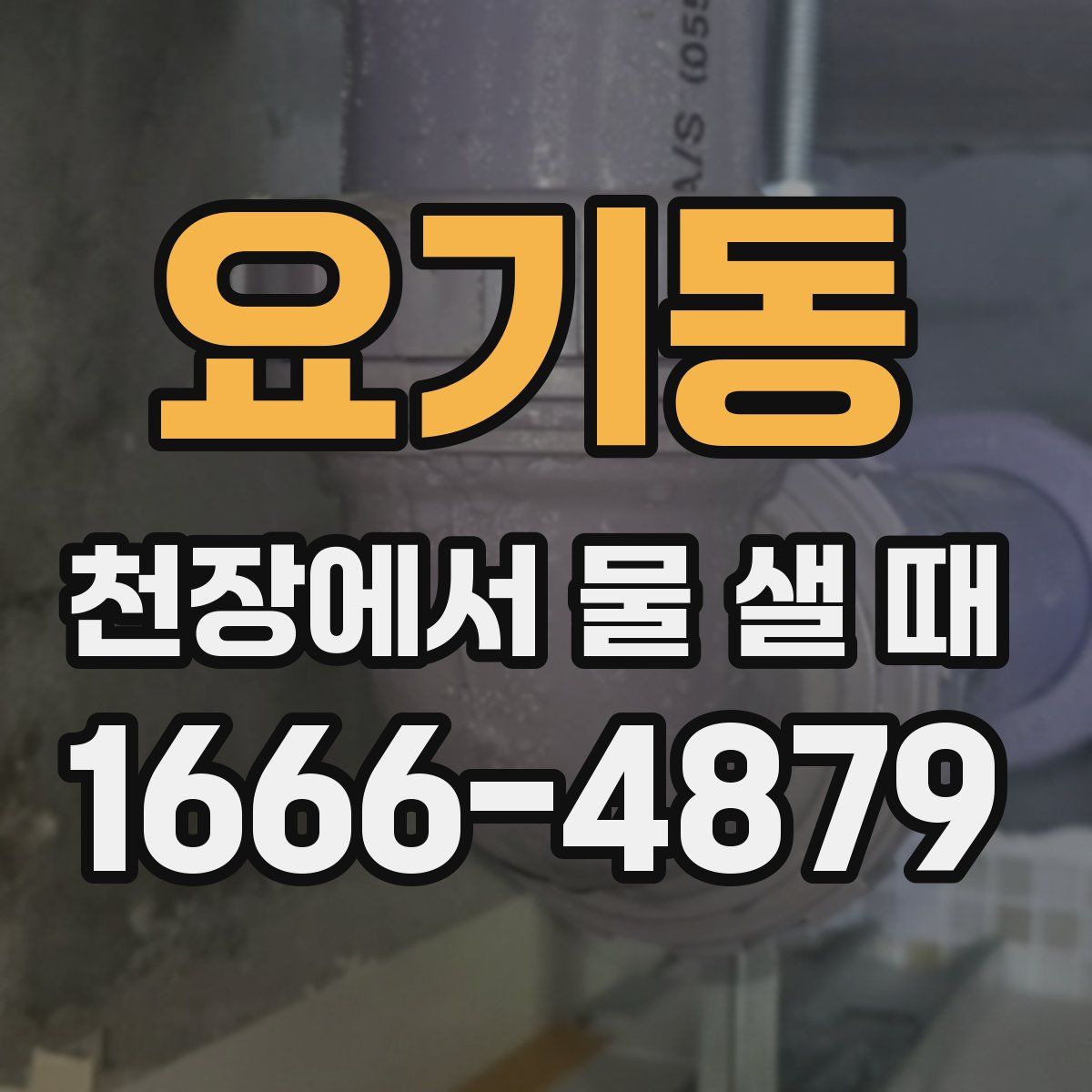 요기동 천장에서 물 샐 때