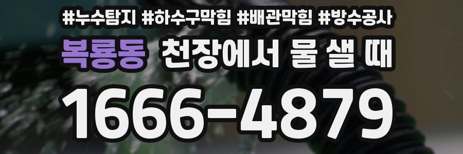복룡동 천장에서 물 샐 때