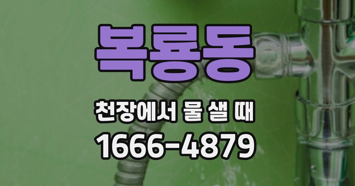 복룡동 천장에서 물 샐 때