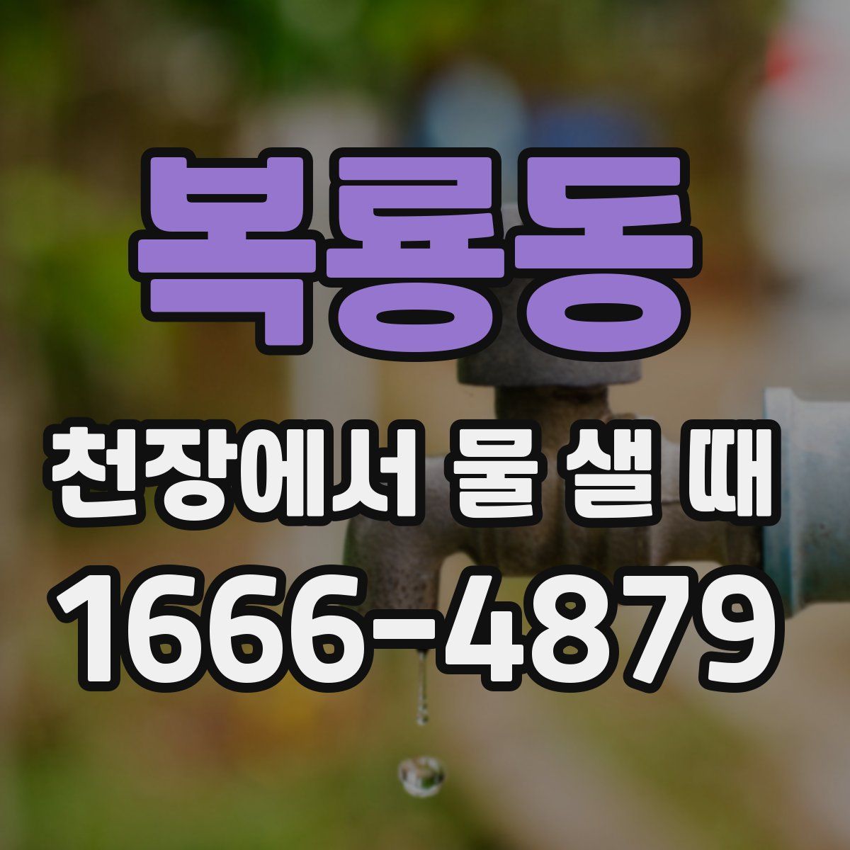 복룡동 천장에서 물 샐 때