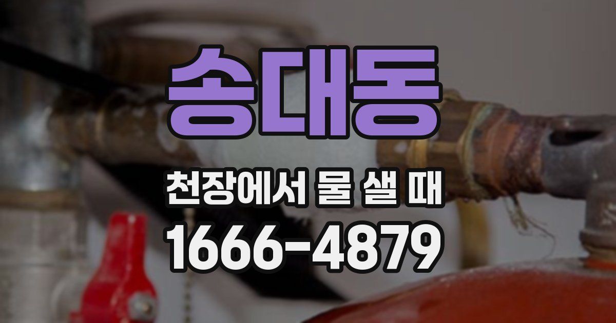 송대동 천장에서 물 샐 때