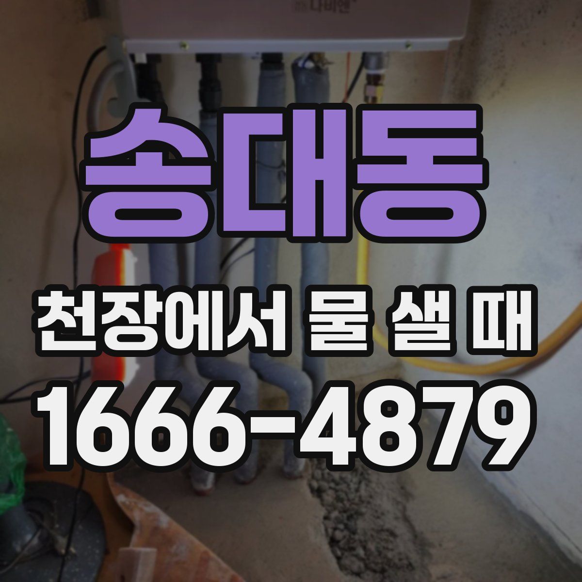 송대동 천장에서 물 샐 때