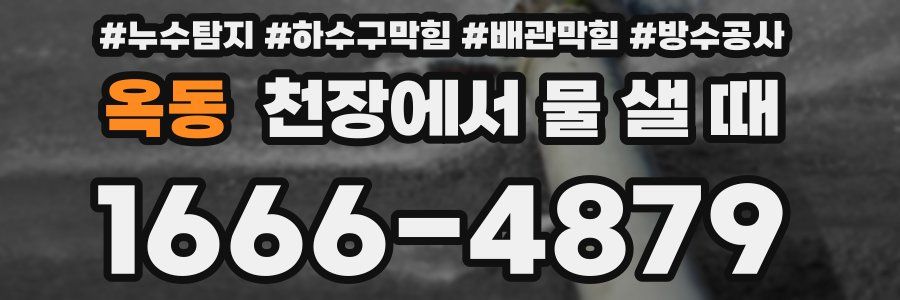 옥동 천장에서 물 샐 때