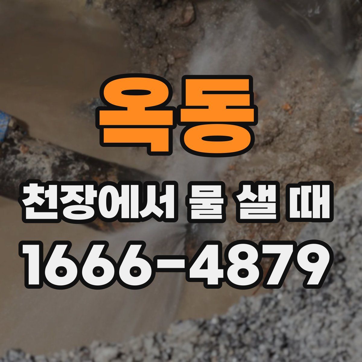 옥동 천장에서 물 샐 때