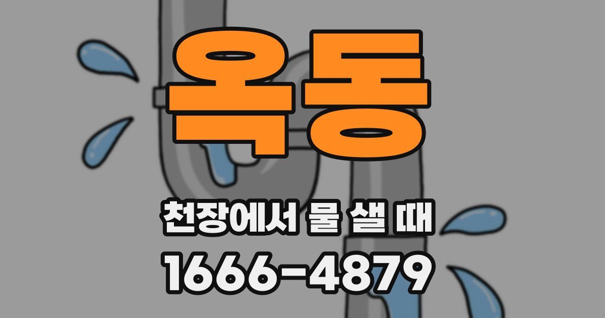 옥동 천장에서 물 샐 때