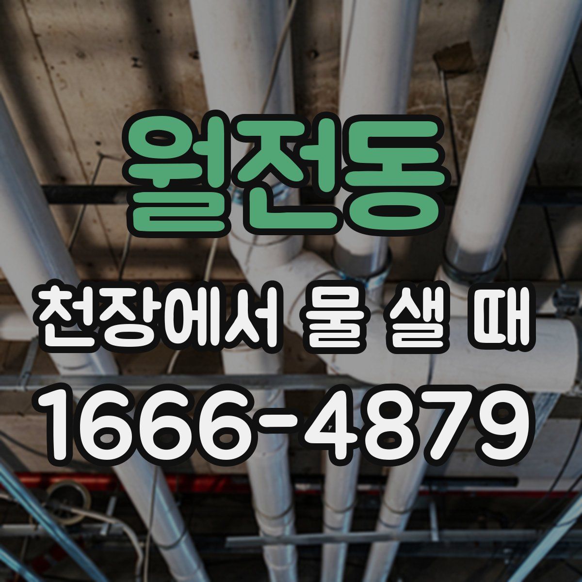 월전동 천장에서 물 샐 때