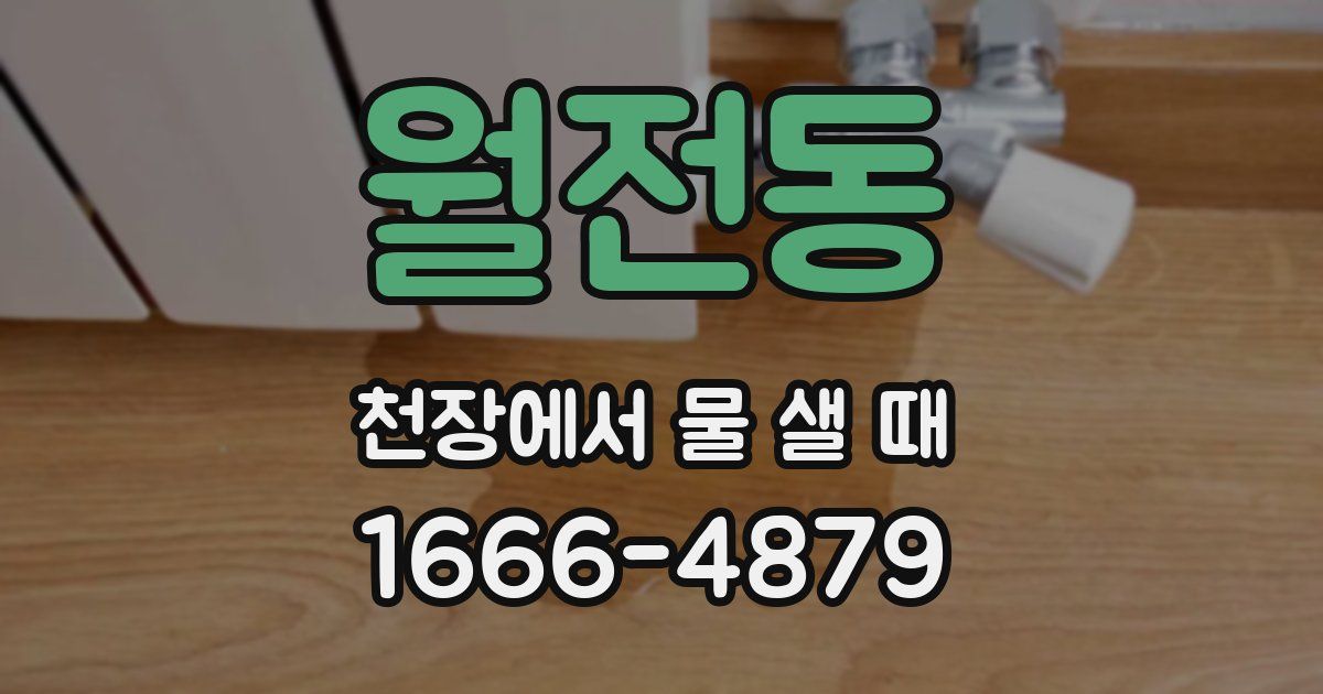월전동 천장에서 물 샐 때