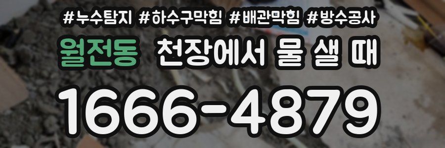 월전동 천장에서 물 샐 때