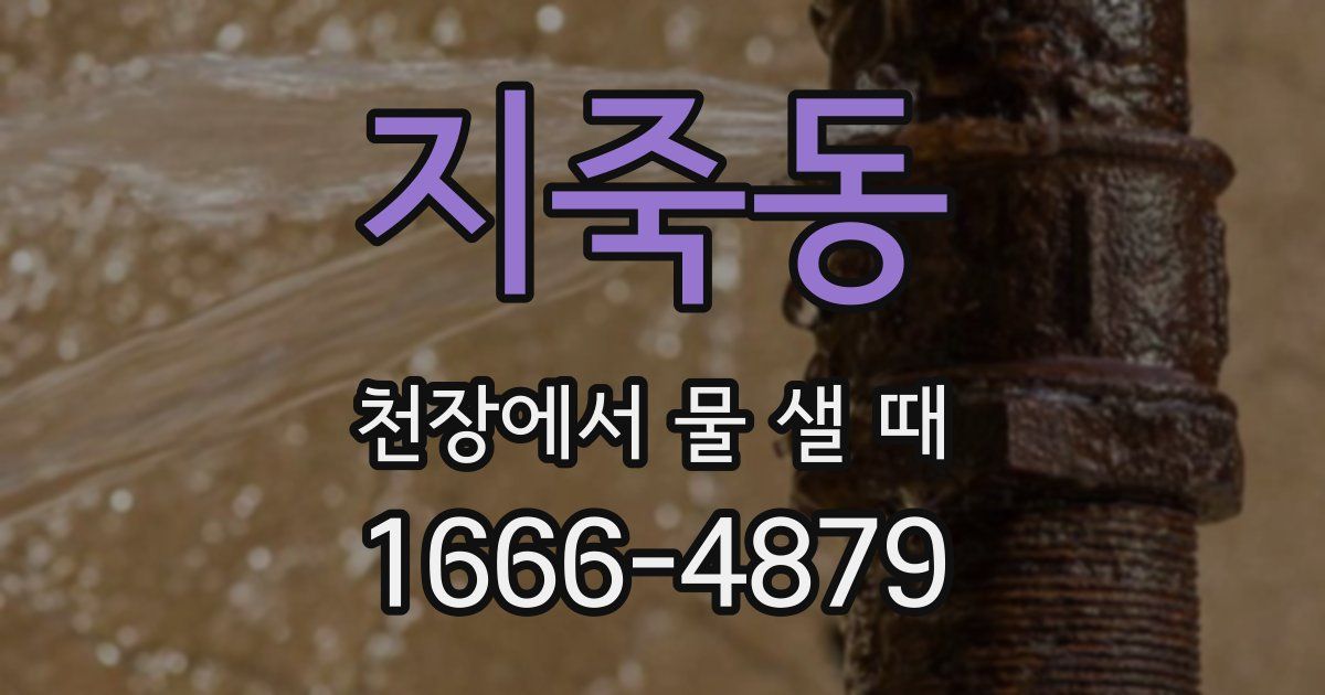 지죽동 천장에서 물 샐 때