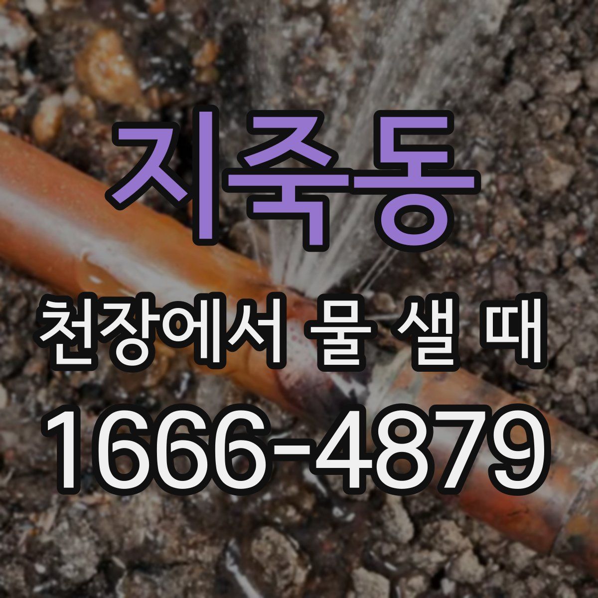 지죽동 천장에서 물 샐 때