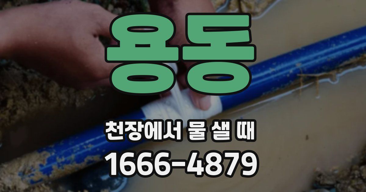 용동 천장에서 물 샐 때