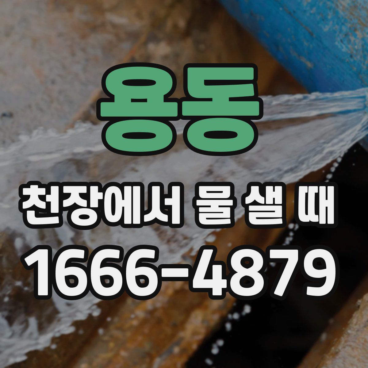 용동 천장에서 물 샐 때