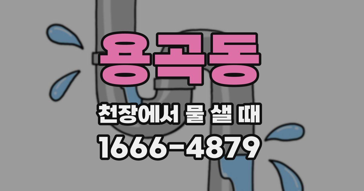 용곡동 천장에서 물 샐 때