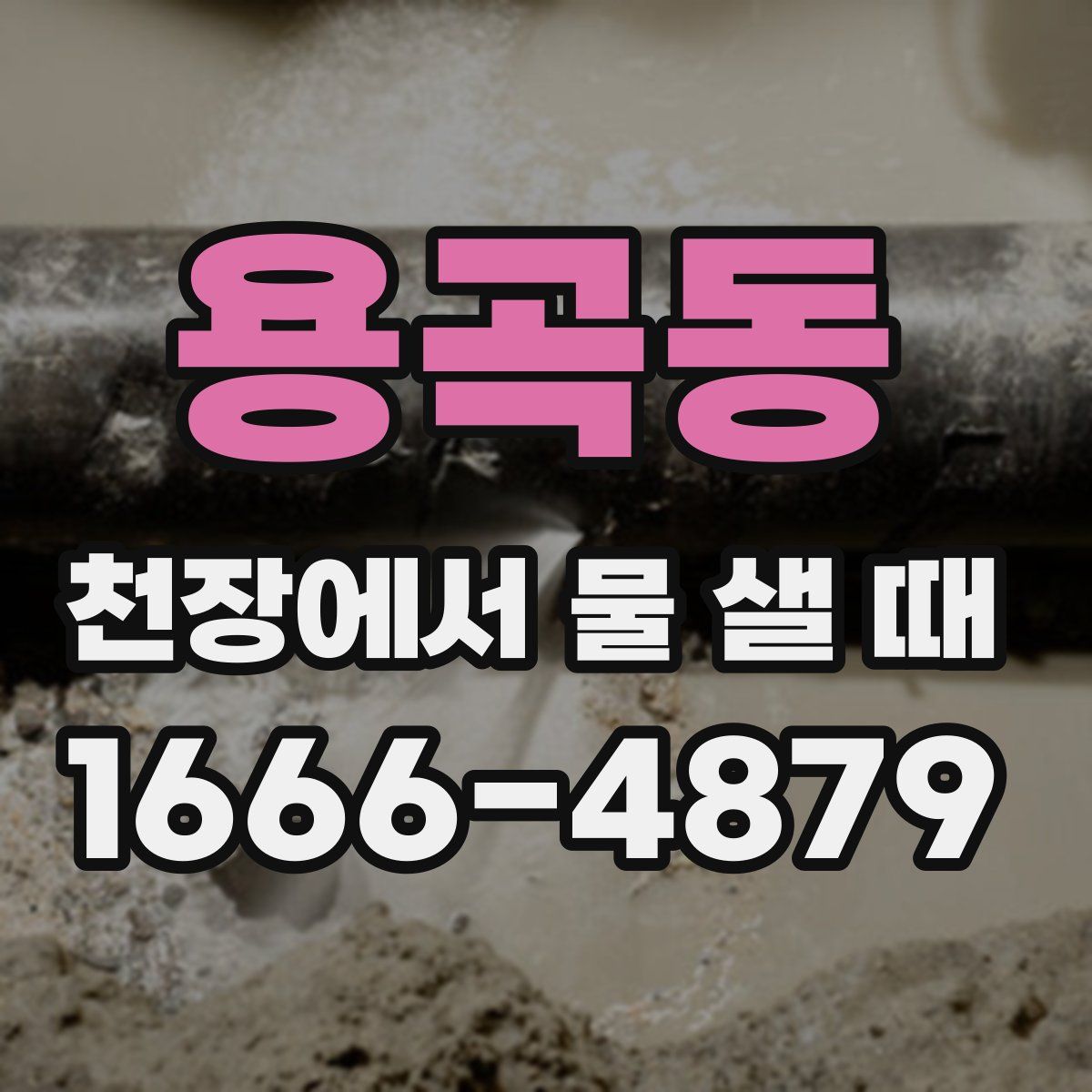 용곡동 천장에서 물 샐 때