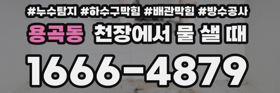 용곡동 천장에서 물 샐 때