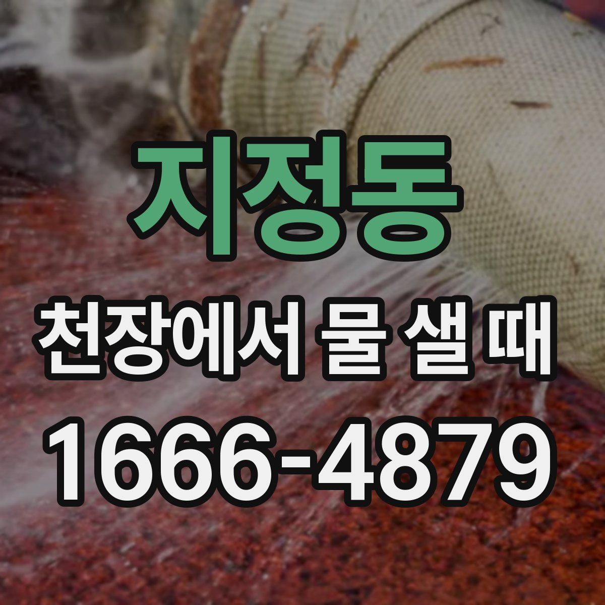지정동 천장에서 물 샐 때