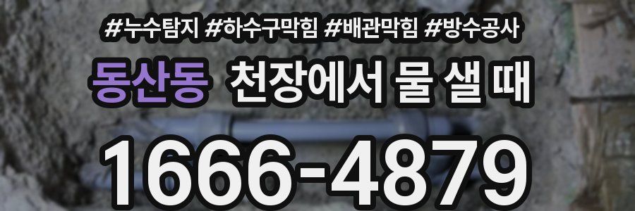 동산동 천장에서 물 샐 때