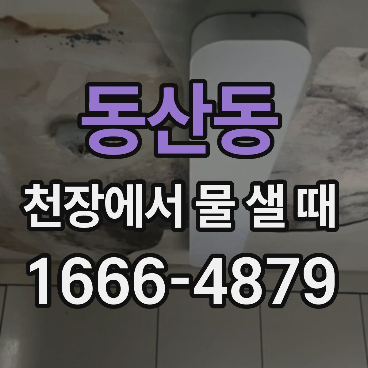 동산동 천장에서 물 샐 때