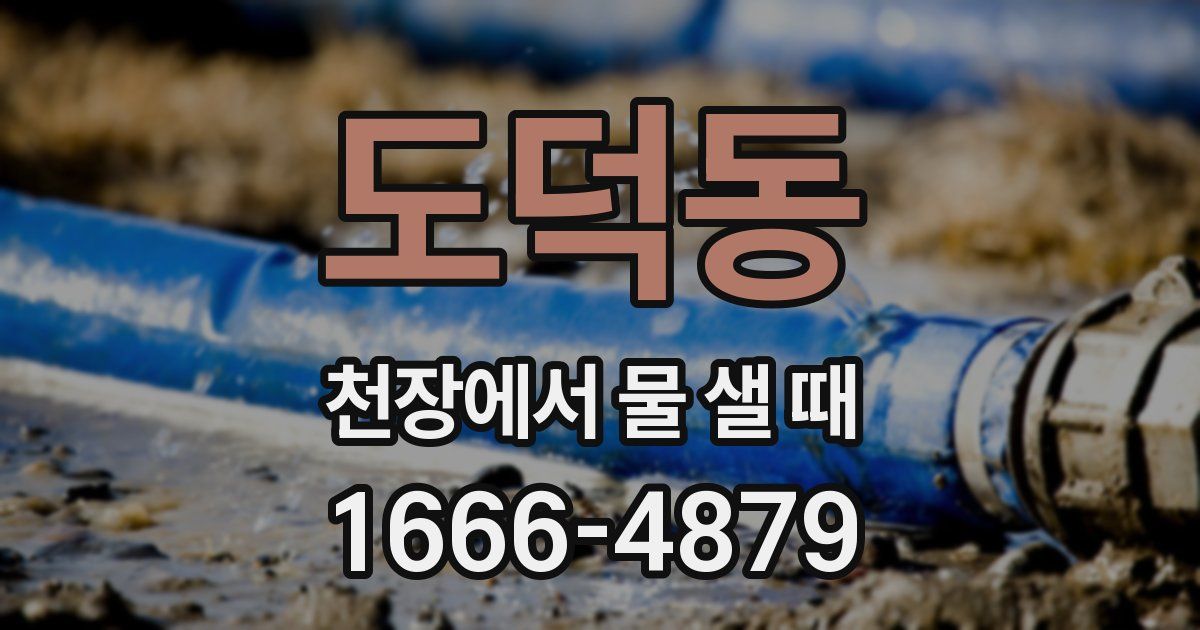 도덕동 천장에서 물 샐 때