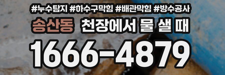 송산동 천장에서 물 샐 때