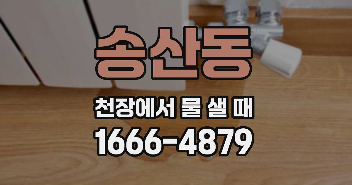 송산동 천장에서 물 샐 때