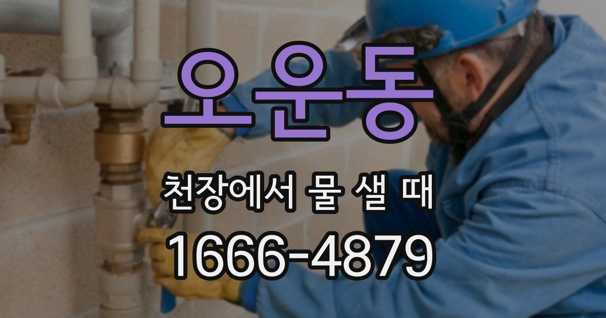 오운동 천장에서 물 샐 때