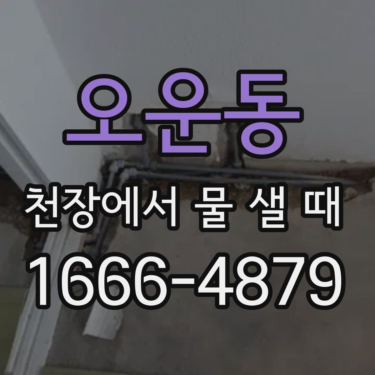 오운동 천장에서 물 샐 때