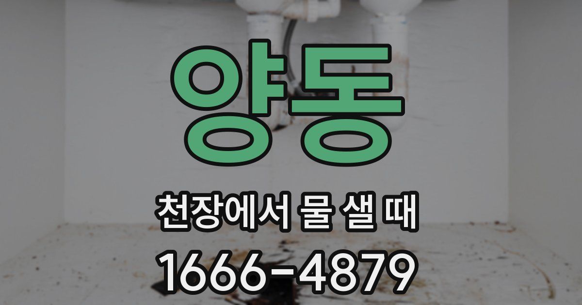 양동 천장에서 물 샐 때