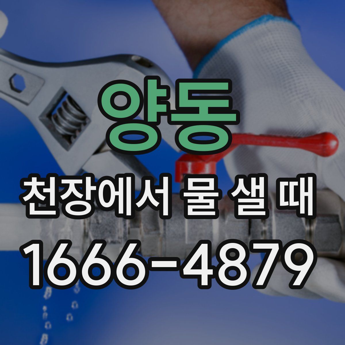 양동 천장에서 물 샐 때