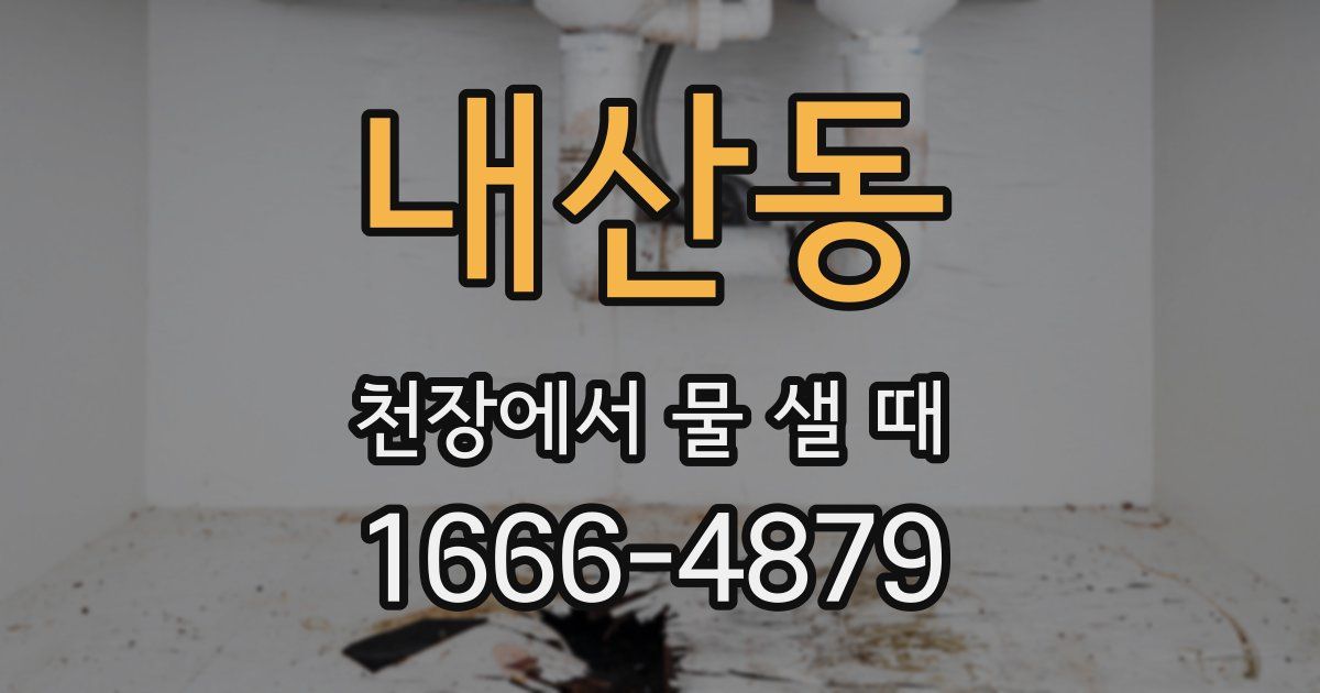 내산동 천장에서 물 샐 때