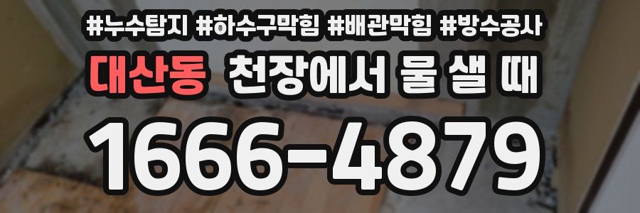 대산동 천장에서 물 샐 때