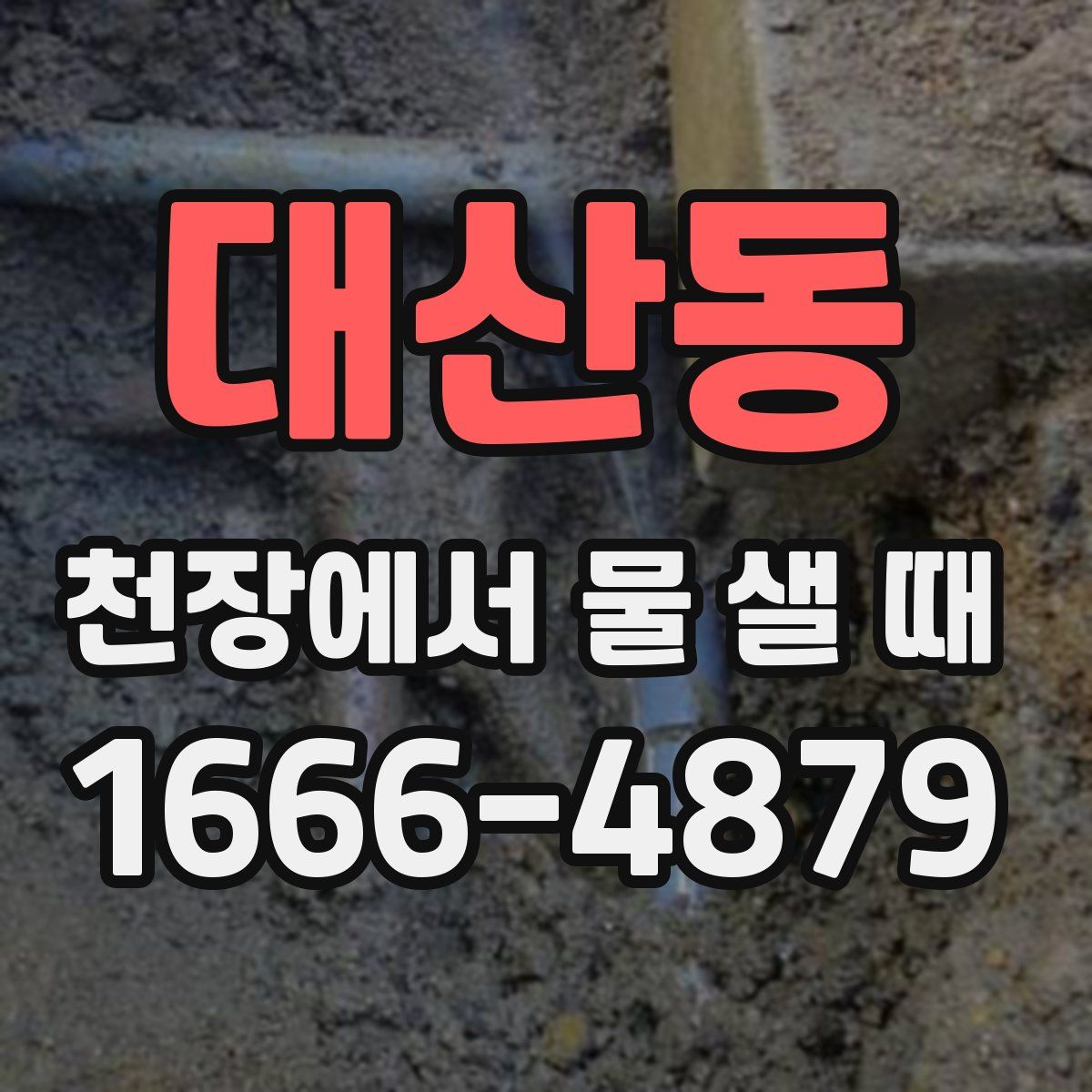 대산동 천장에서 물 샐 때