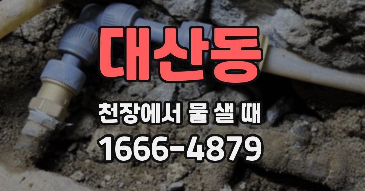 대산동 천장에서 물 샐 때