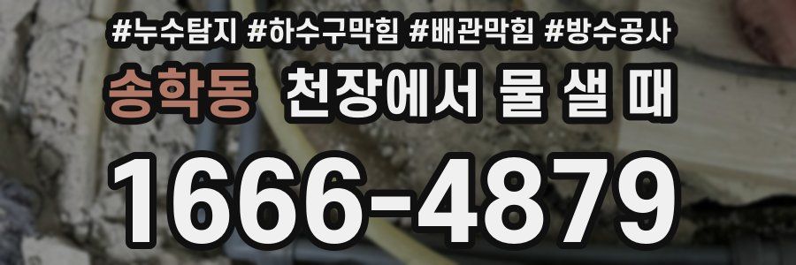 송학동 천장에서 물 샐 때