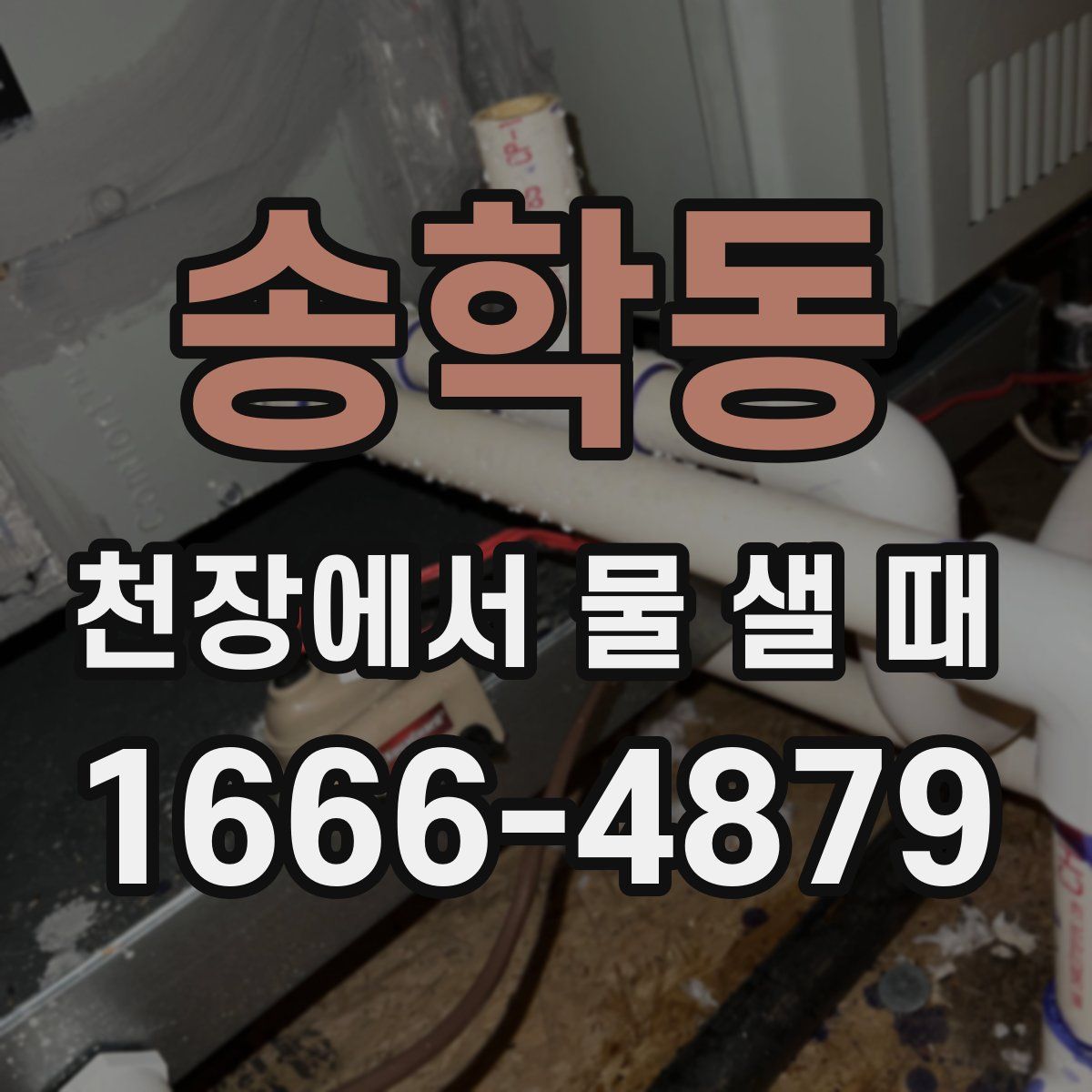 송학동 천장에서 물 샐 때