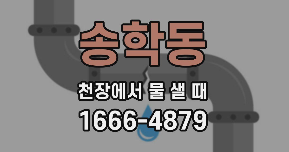 송학동 천장에서 물 샐 때