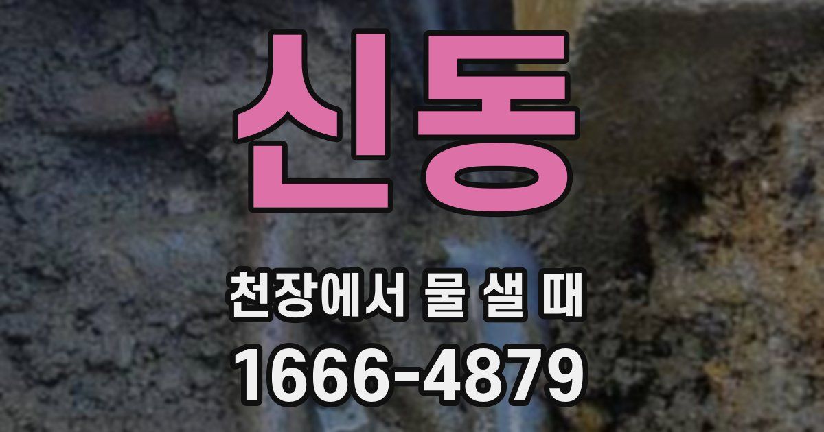 신동 천장에서 물 샐 때