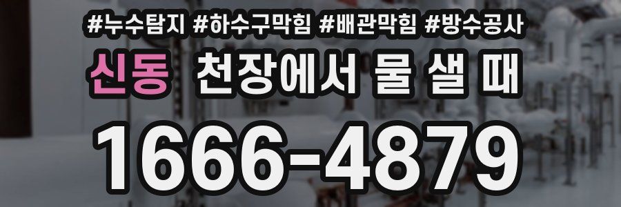 신동 천장에서 물 샐 때