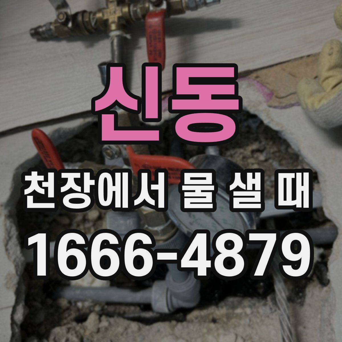 신동 천장에서 물 샐 때