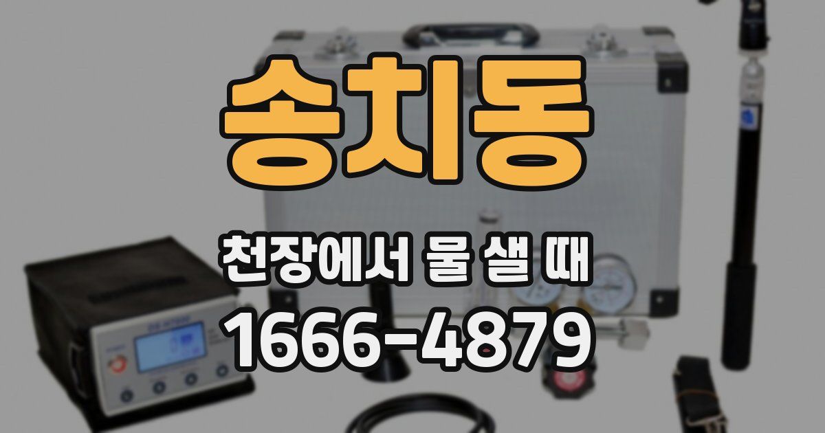 송치동 천장에서 물 샐 때