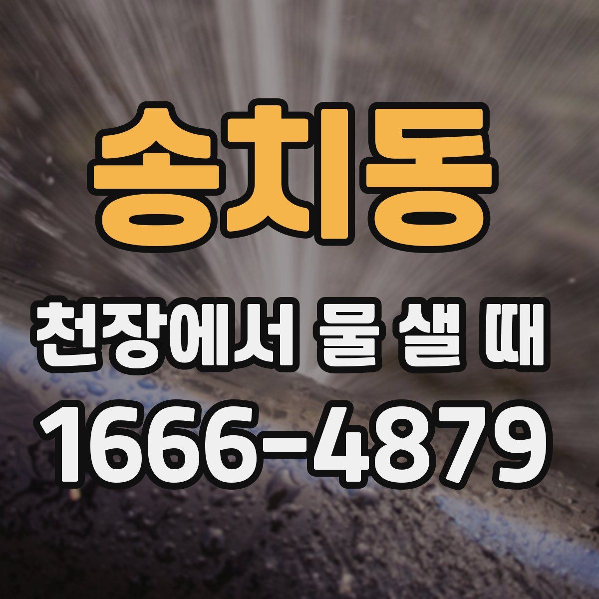 송치동 천장에서 물 샐 때